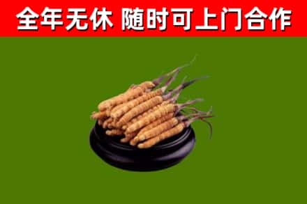 沿滩烟酒回收冬虫夏草.jpg